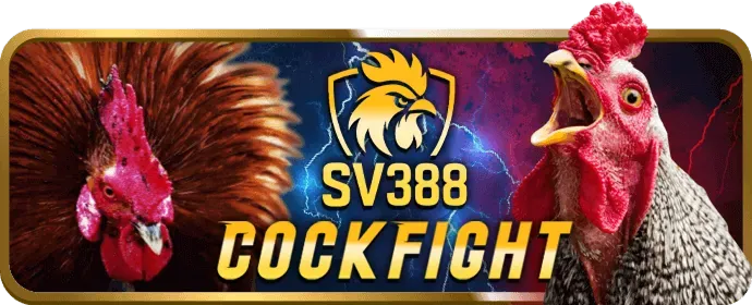 Mẹo và chiến lược