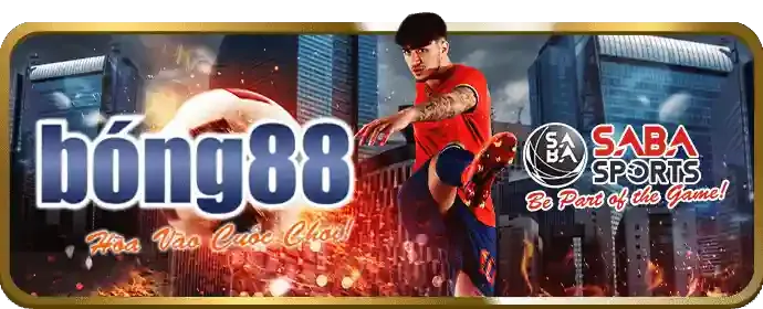 Các chương trình ưu đãi và khuyến mãi hấp dẫn